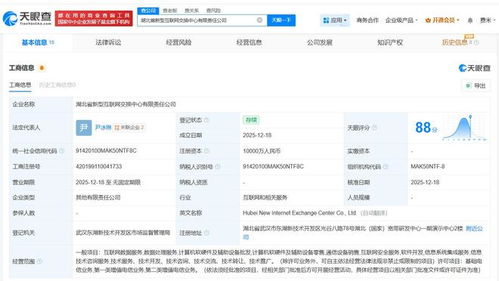 中國電信等企業(yè)在湖北成立新型互聯(lián)網(wǎng)交換中心公司，賦能數(shù)字經(jīng)濟(jì)新生態(tài)